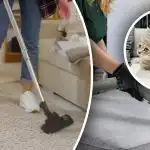 Jälkiä ei jää: 7 askelta poistaaksesi virtsan hajun matosta