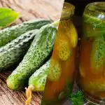 Kuinka peittää kurkut chiliketsuppilla talveksi: 3 vertaansa vailla olevaa reseptiä