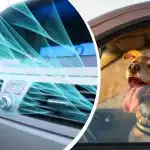 Kuumuus on iskenyt Ukrainaan: kuinka nopeasti jäähdyttää auton sisätila ilman