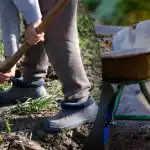 Kylvökalenteri syyskuulle 2025: mitä puutarhassa pitää tehdä Kylvökalenteri syyskuulle 2025: mitä puutarhassa pitää tehdä