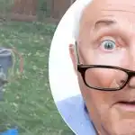 Outo löytö lähellä puuta sai naapurin hämmentymään: mitä salaisuutta hän