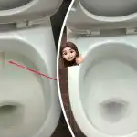 Yksi tuote valkaisee wc-istuimen kiiltäviksi: kuinka käsitellä plakkia ja likaa